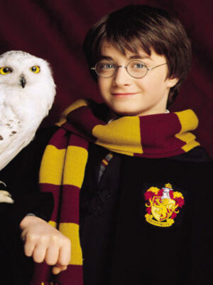 Bufanda Harry Potter