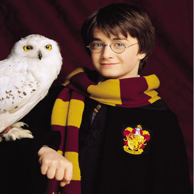 Bunfanda Harry Potter